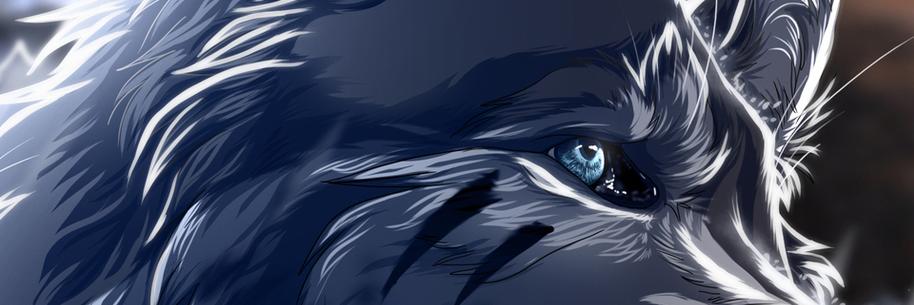 volcaeduens's profile banner image