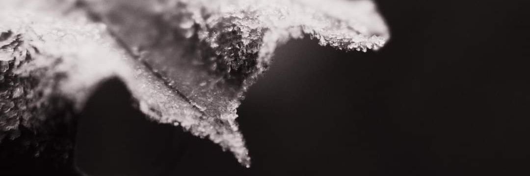 slbarcel's profile banner image