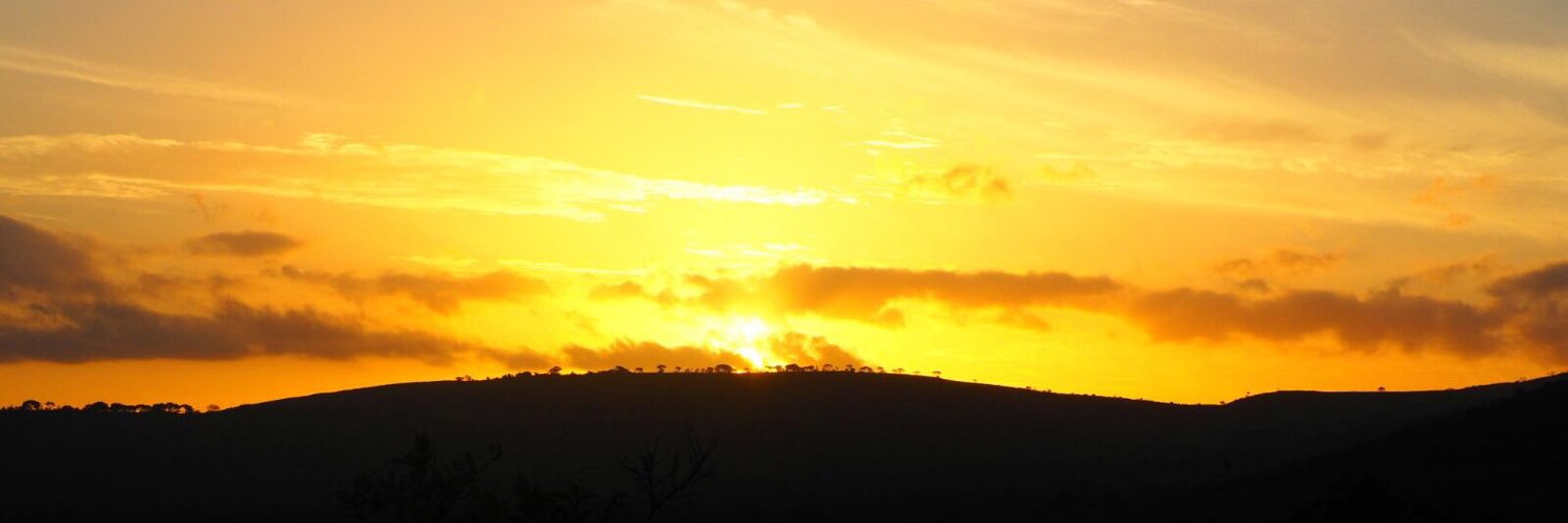 EMadeley's profile banner image