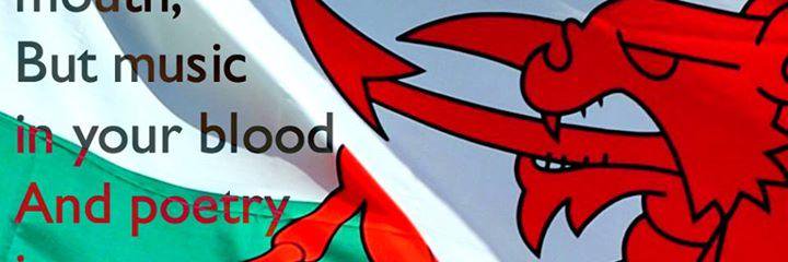 mlocke8's profile banner image