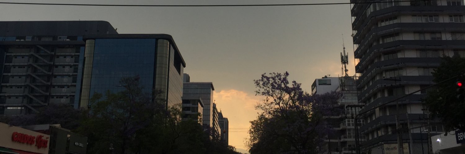 rysemoon_'s profile banner image