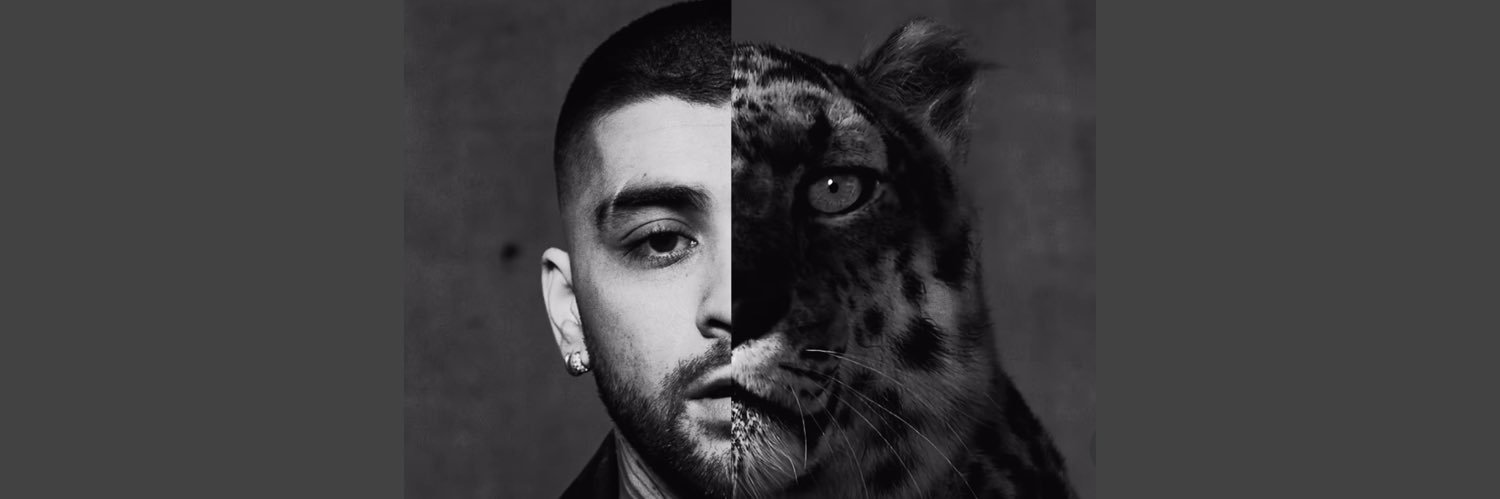 casey❄️🐆 banner