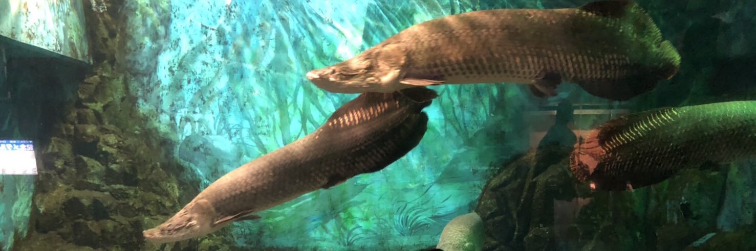 kf_917's profile banner image