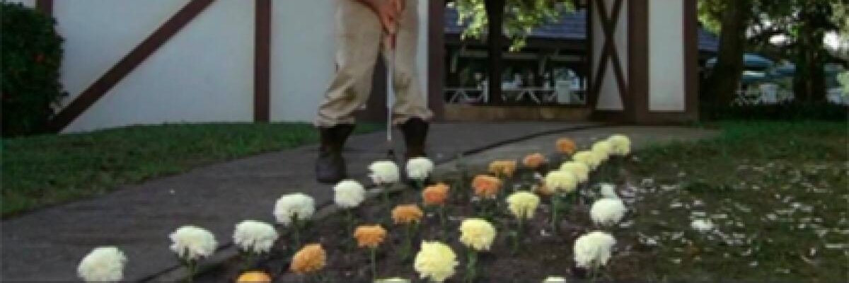 Jeff in the 'Ville 🇺🇸 🇭🇷 🇸🇮 banner