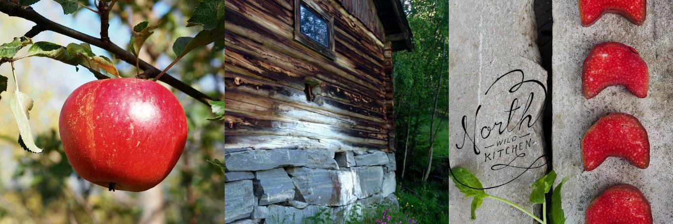 northwildkitchen banner