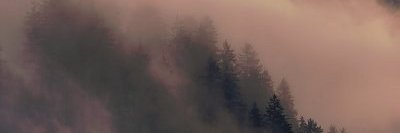 Dilara Sönmez banner