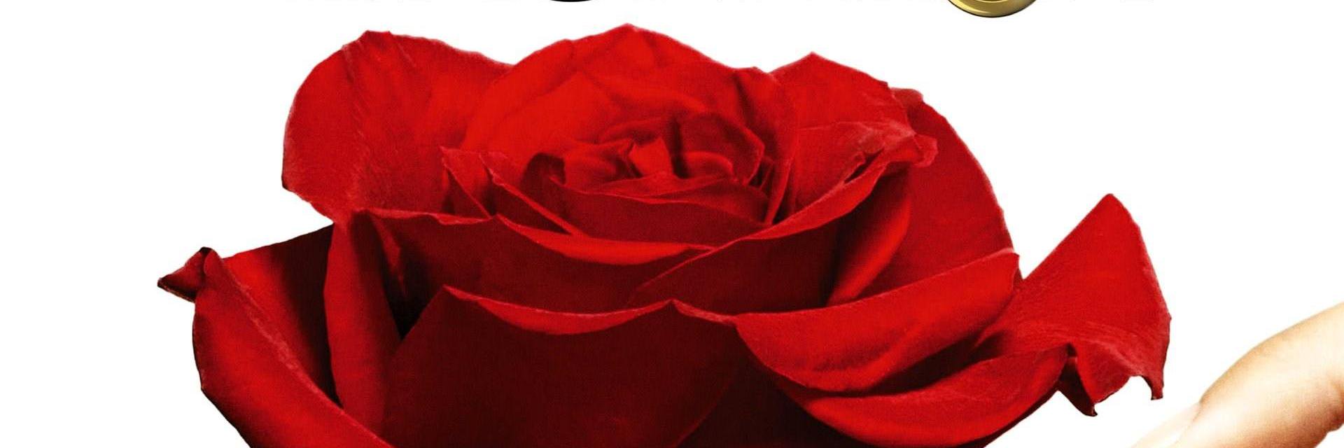 TakeThisRose's profile banner image