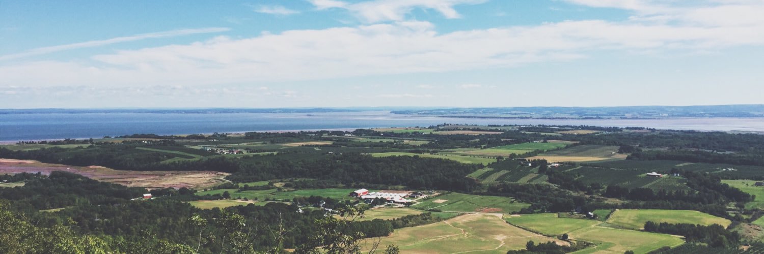 Emily Faulkner banner