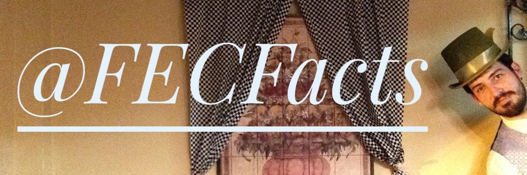 FECFacts's profile banner image