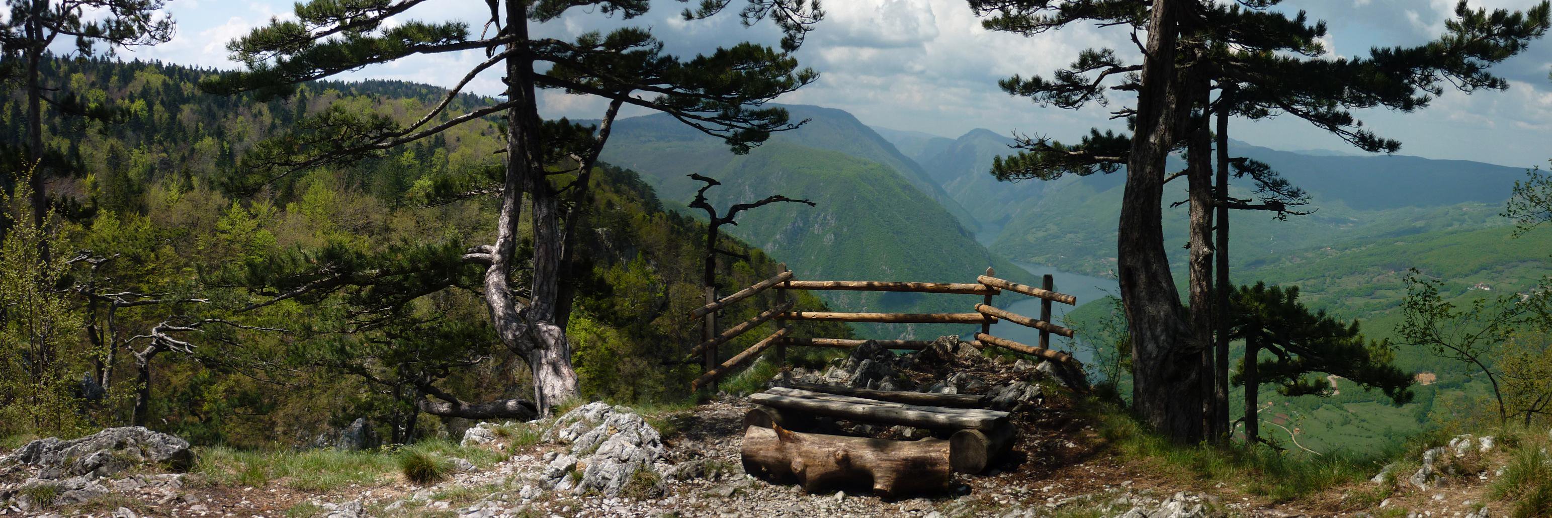 taraNPsrb's profile banner image