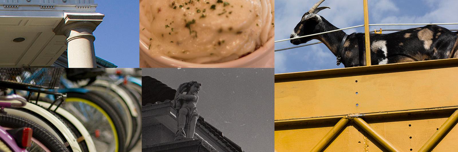 MPSLaeffington's profile banner image