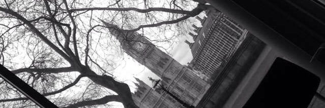 Jess_Stoneham's profile banner image
