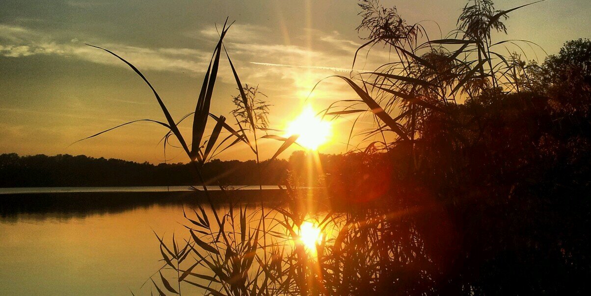 Metonsinweert's profile banner image