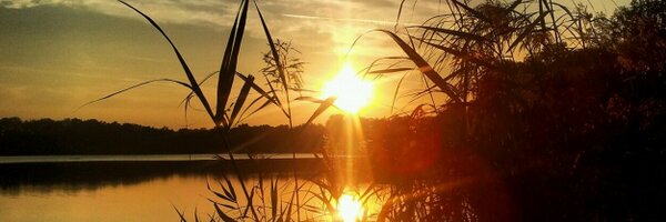 Metonsinweert Profile Banner