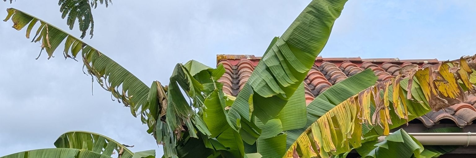 anksz_'s profile banner image
