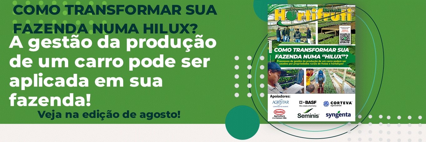 Hortifruti Brasil banner