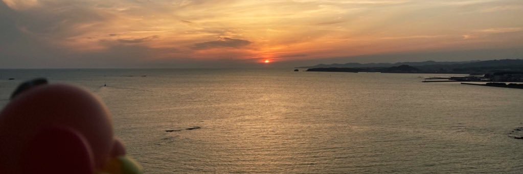 teafox227's profile banner image
