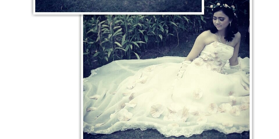 msSitepu's profile banner image