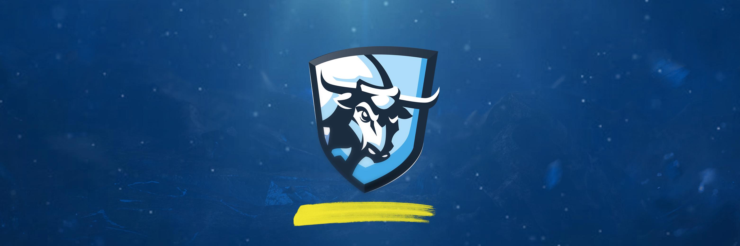 TorosESports's profile banner image