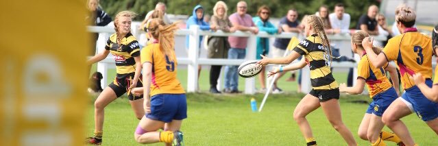 Cass Escott banner