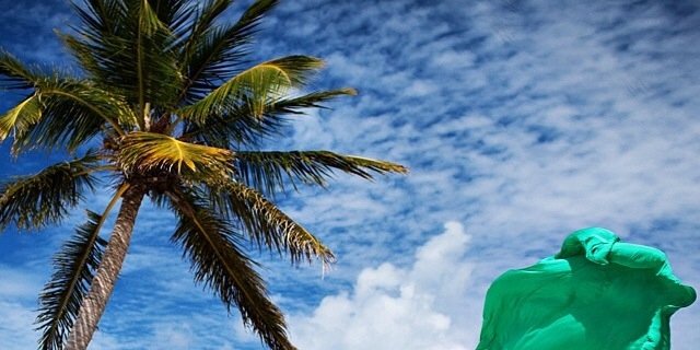 timikichi's profile banner image