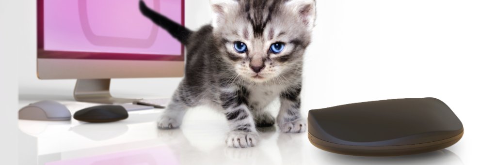 wristocat's profile banner image