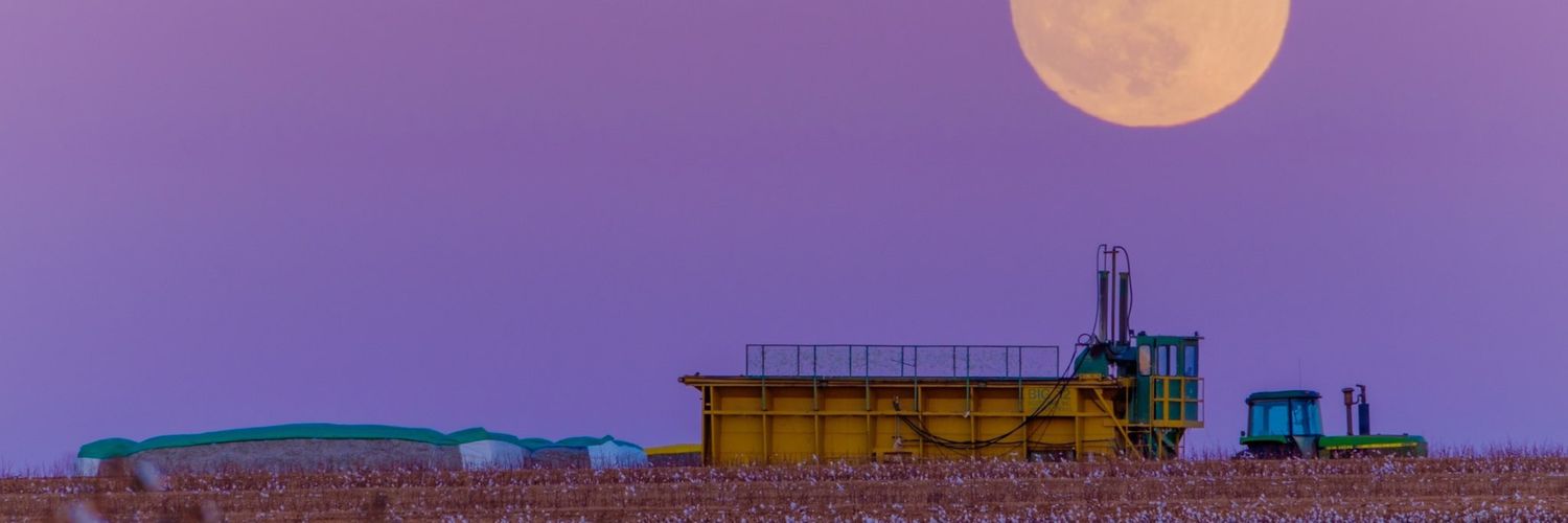 SealCraig's profile banner image