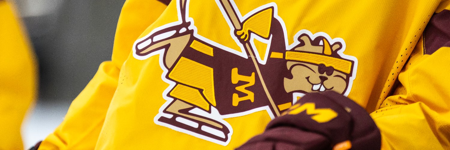 Minnesota Women's Hockey's banner