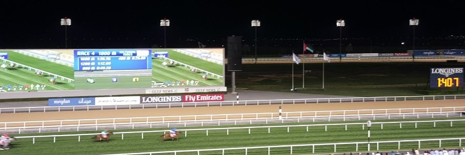 Ross Williams banner