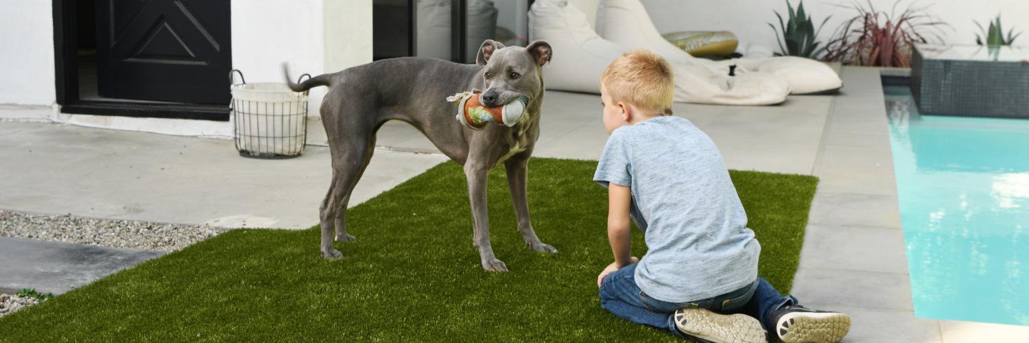 K9Grass's profile banner image
