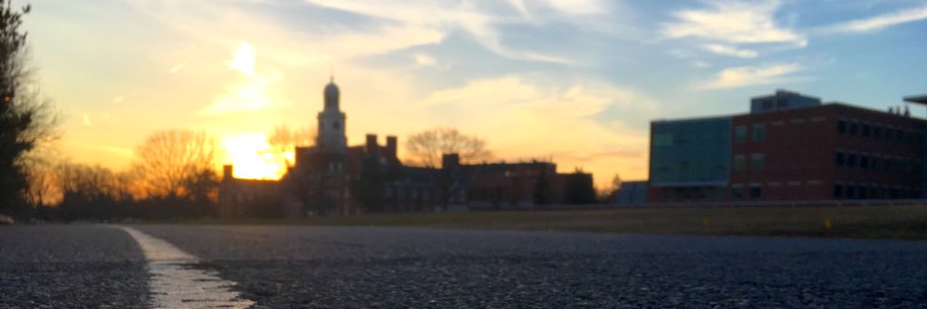 beremyjerkowitz's profile banner image