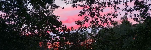 pihlis_s Profile Banner