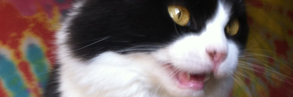 Edwardistaken's profile banner image