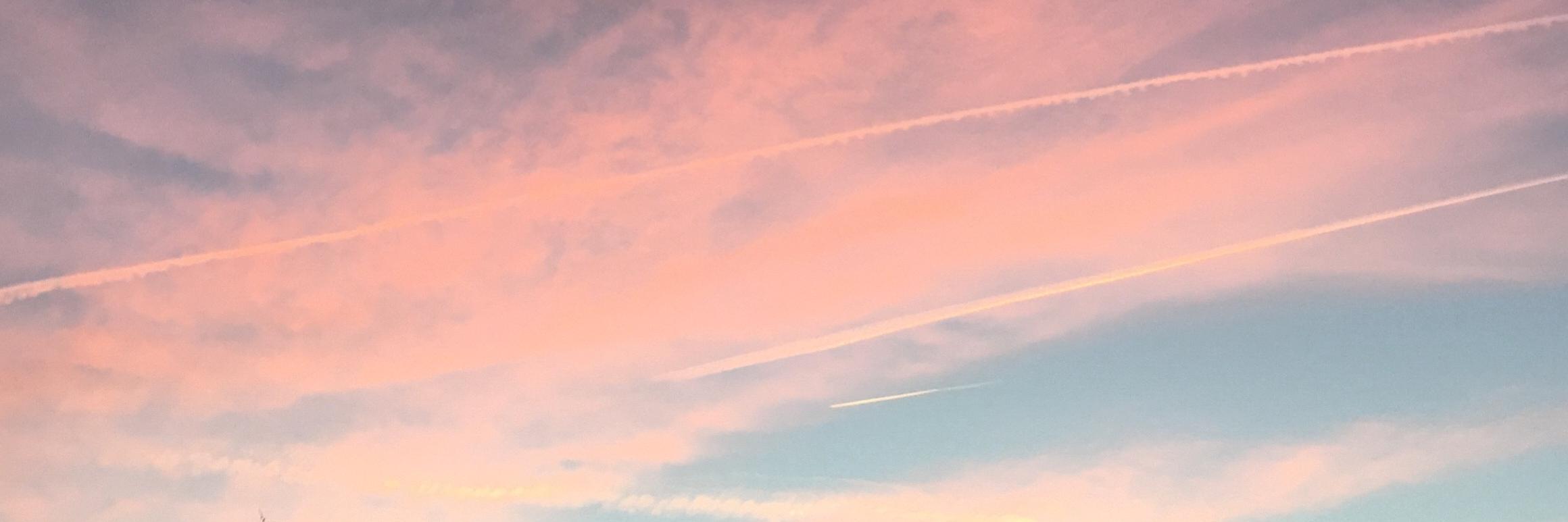 Bianca Balzer banner