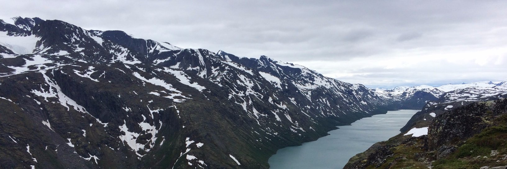 Jordy Wolfand banner