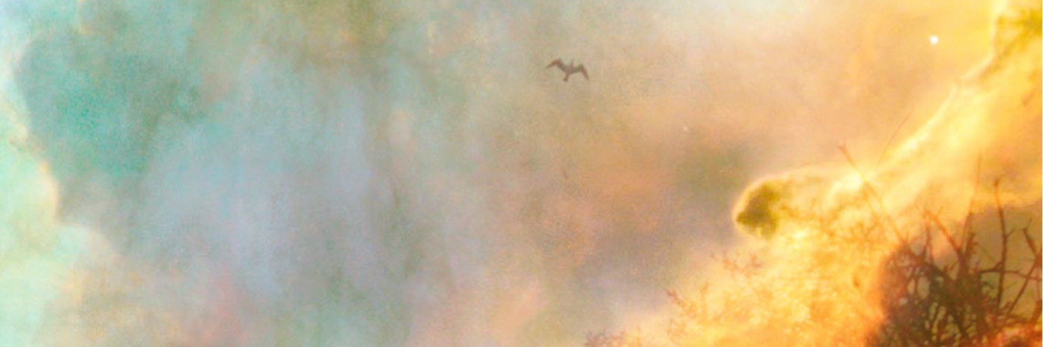 AaronChildree's profile banner image
