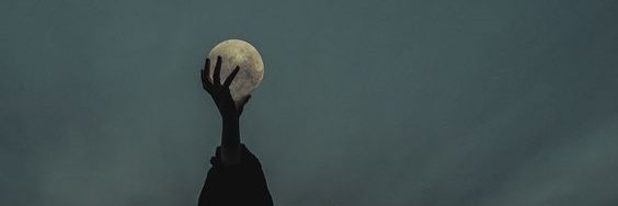 foxelkk's profile banner image