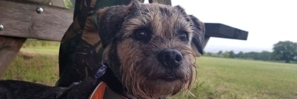 mulberrybt Profile Banner