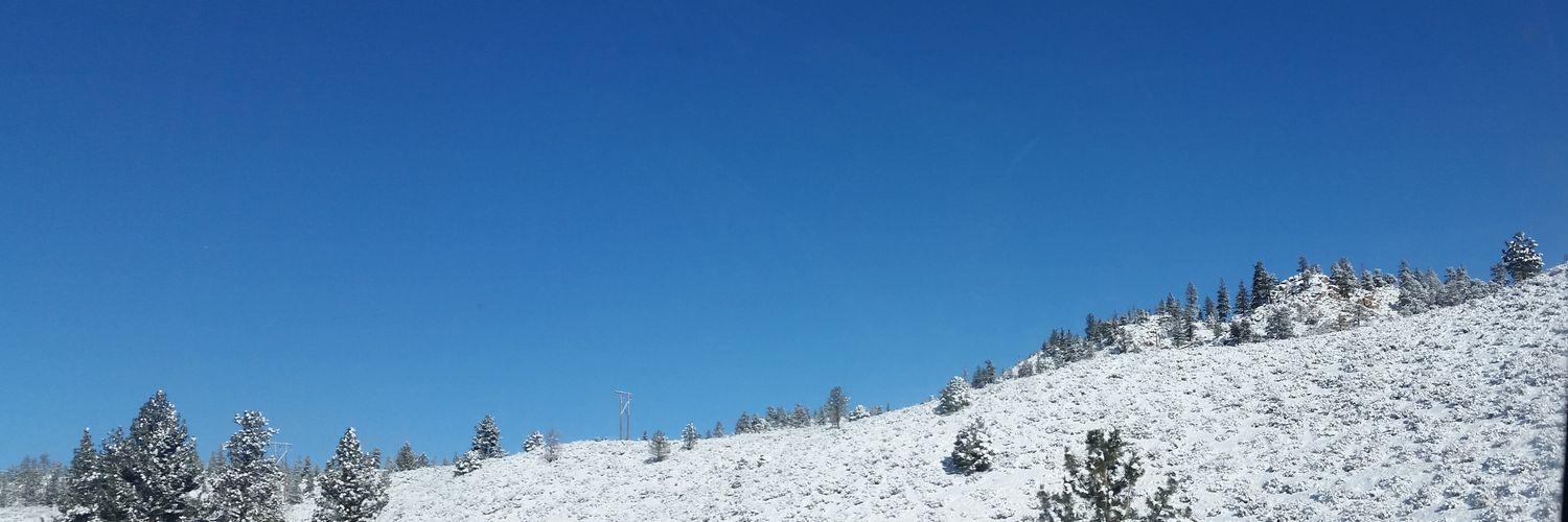 dguo001's profile banner image