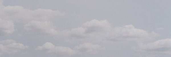 elijahnoll Profile Banner