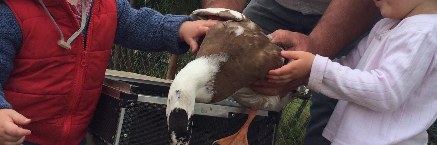 George Hoddle banner