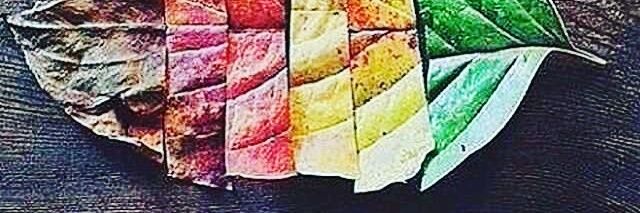 الحمدلله♡ banner