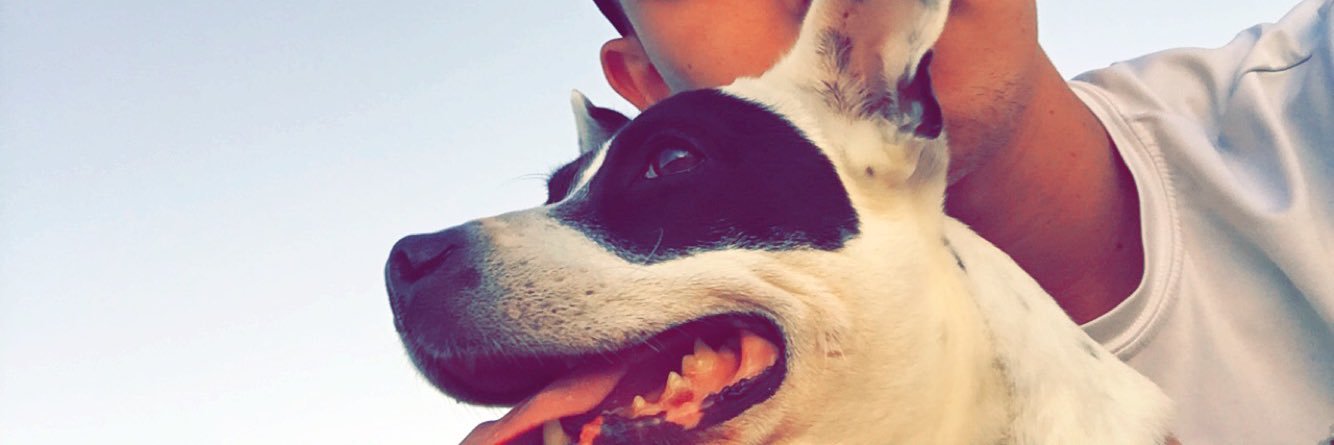eyeczmra's profile banner image
