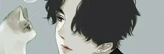 swish snippet banner