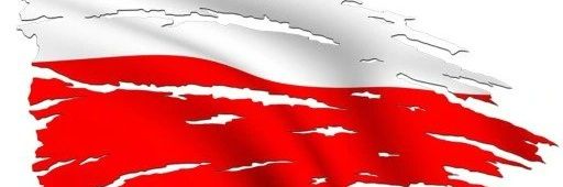 p_adalbert's profile banner image