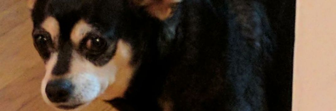 PARTY_BONES's profile banner image