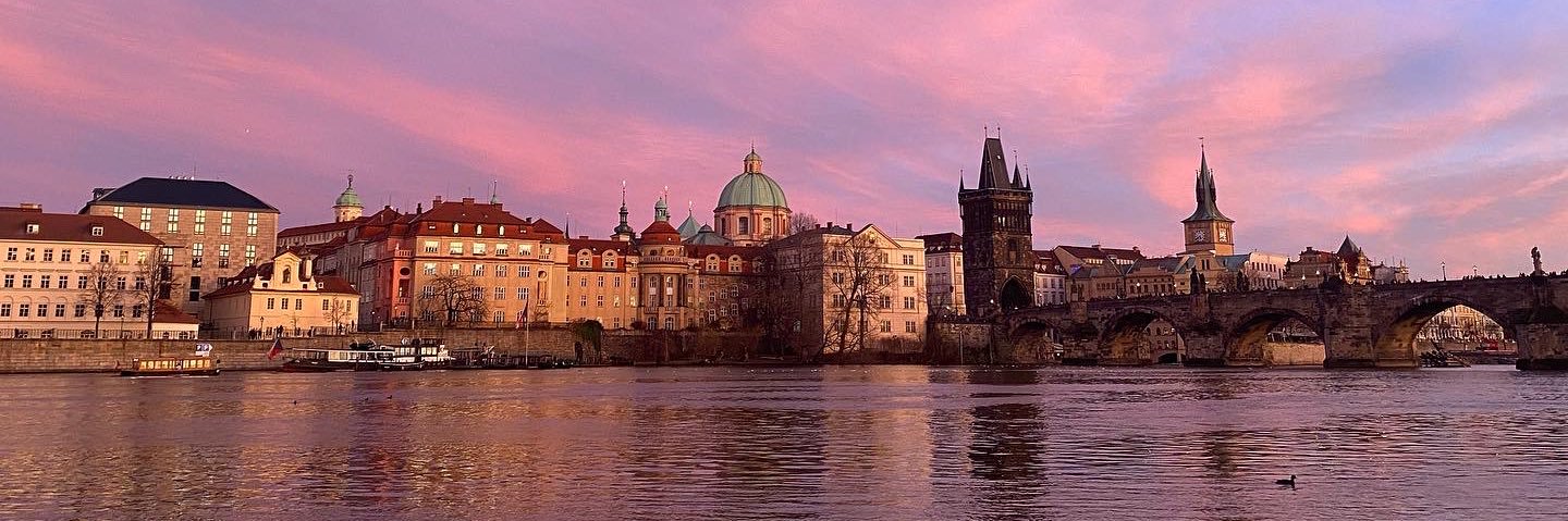 nina_hubert's profile banner image