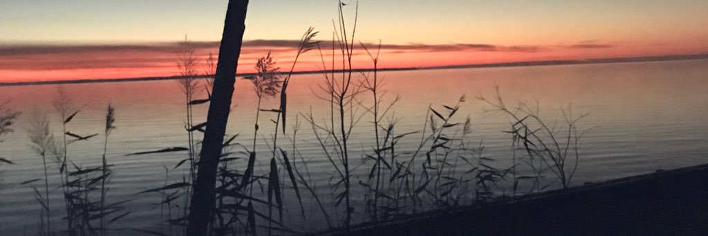 JamesCa40011005's profile banner image