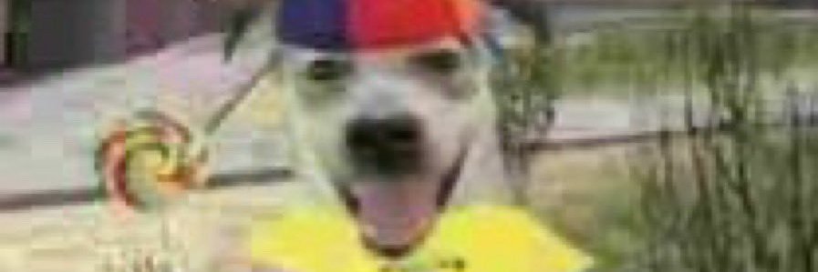 superdbo's profile banner image