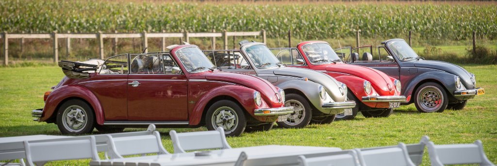 Kever Cabrio Rally banner